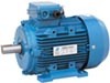 Electric Motor, MS three phase motor