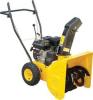 Electrical Snow Thrower