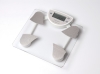 Electronic body fat scale