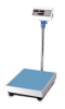 Electronic price platform scale