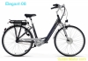Elegant e-Bike