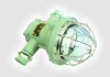 Explosion-proof & LED Light Source Laneway Lamp