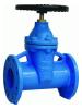Gate Valve