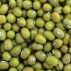 Green Mung Bean