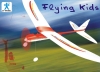 HOBBY MODEL FREE FLIGHT toy
