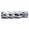 HSS-E Annular Cutter with FEIN Quick-In Shank