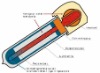 Heat pipe  pressure solar collector