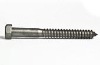 Hex Lag Screw (DIN571)