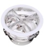 Induction Lamp for Downlight (BX-202)