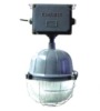 Induction Lamp for Explosion Proof Light (BX-805)