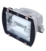 Induction Lamp for Floodlight (BX-508)