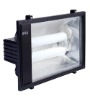Induction Lamp for Floodlight (BX-512)