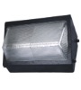 Induction Lamp for Gas Station Light (BX-885)