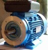 Induction motor, electric motor, ac motor, asynchronous motor