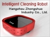Intelligent Cleaning Robot