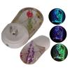 LED Night Light