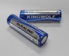 LR6 Alkaline Battery