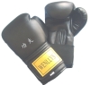 MMA Sparring Glove