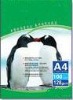 Matte Coated Inkjet  Paper