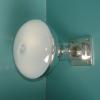 Mercury Lamp with Reflector