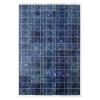 Poly-Crystalline Solar Module