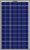 Poly-Crystalline Solar Panel (JY-P165W,170W,175W)