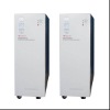 Power inverter(Prostar)