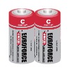 Primary Battery R14P UM2 size C