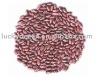 Purple speckled kidney beans