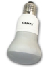 R10 Shape Frosted CFL