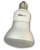 R30 bulb