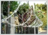 Razor wire