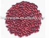 Red kidney beans(English type)