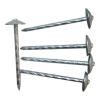 Roofing Nail