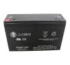 Sealed Lead-Acid Battery (6V, 10Ah)
