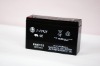 Sealed Lead-Acid Battery (6V, 12Ah)