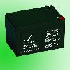 Sealed Lead Acid Battery (Small capacity)