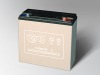 Sealed Maintenance Free Battery,Storage Battery for Electric Dune buggy,6-DZM-20 Battery