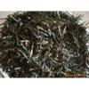 Seaweed Strip