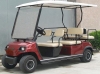Sightseeing Car - (6 Seats Sightseeing Car/6 Seats Golf Cart)