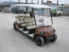 Sightseeing Car(8 Seater Golf Car/Sightseeing Cart)