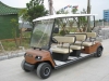 Sightseeing Car - (Electric Car/Electric Vehicle)