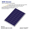 Sinski 60W Polycrystalline Solar Module