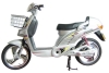 Slightly Flies The Tiger Electric Bike
