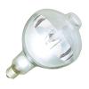 Sodium Lamp with Reflector