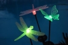Solar Dragonfly