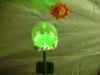 Solar  Garden  light   Solar light