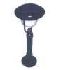 Solar Light