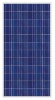 Solar Module (RS-P250)