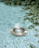 Solar Pathway Light